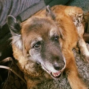 Meet your Posher, Lori